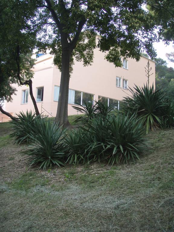 Vasic Appartamento Pola